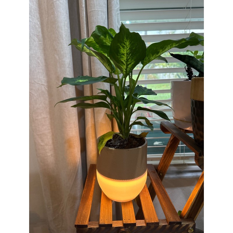 LED Işıklı Saksı USB Masaüstü Dekoratif Aydınlatma Ev ve Ofis Dekoru